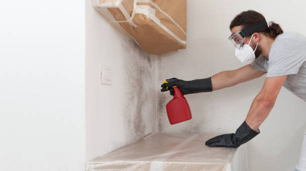 Professional Attic Mold Remediation technician working in Elizabethtown, NC