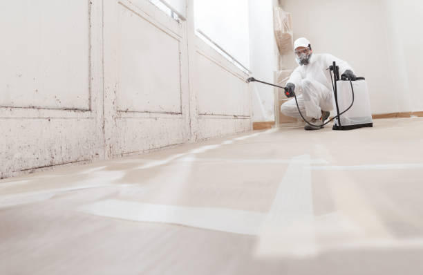24/7 Emergency Attic Mold Remediation experts in Elizabethtown, NC