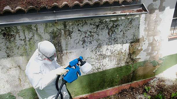 Top rated local Attic Mold Remediation specialists in Elizabethtown, NC